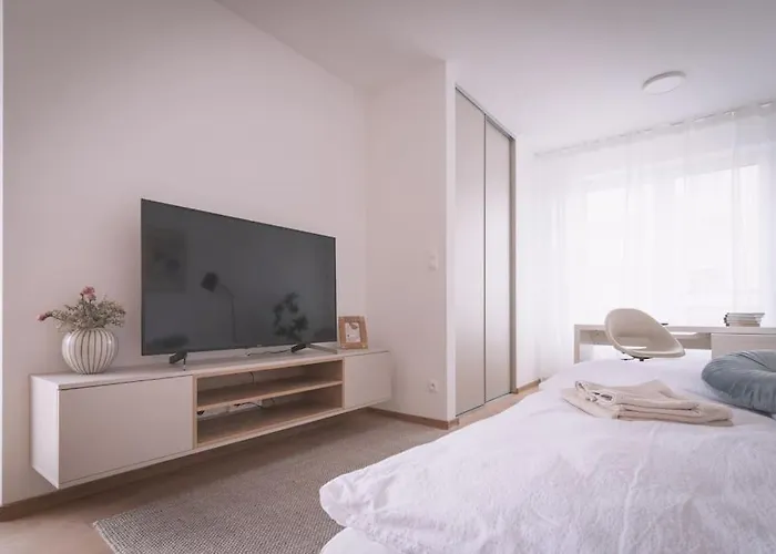 Novy Stylovy Byt, Blizko Letiska Appartement Bratislava